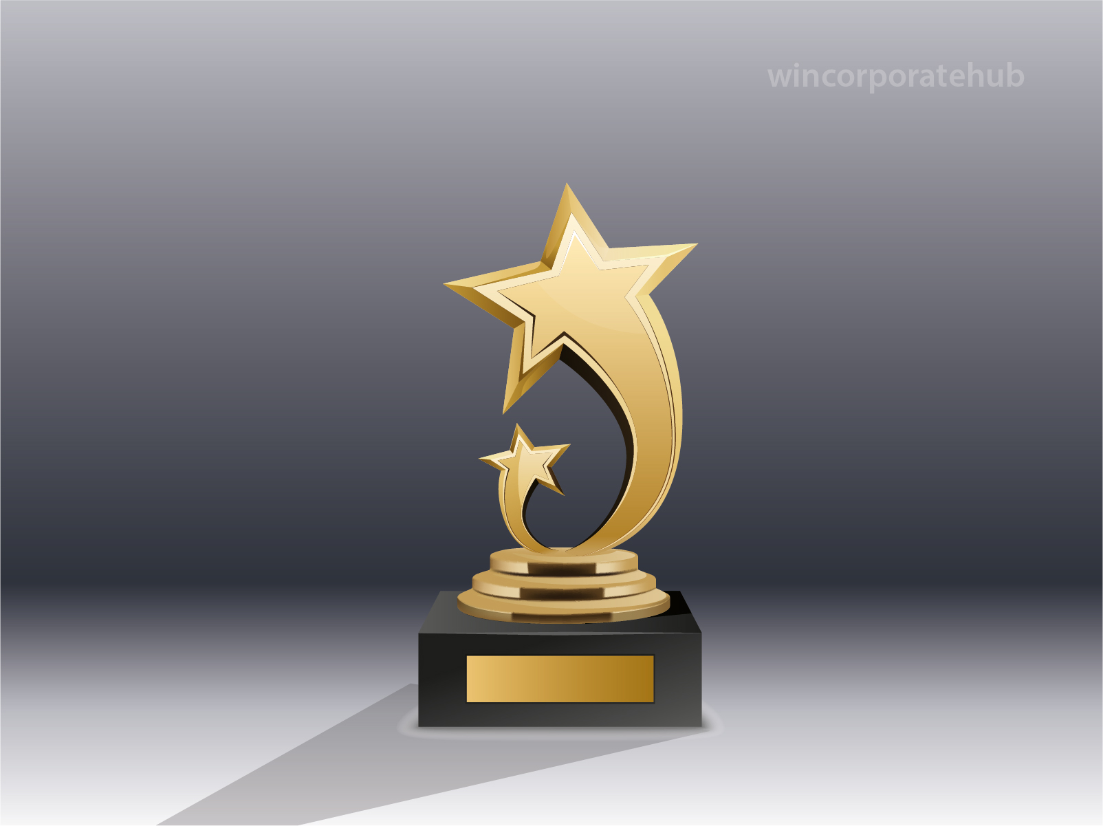 Gold Award 5